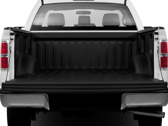 2010 Ford F-150 Base