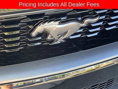 2021 Ford Mustang Mach 1