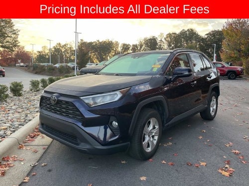 2019 Toyota RAV4 XLE