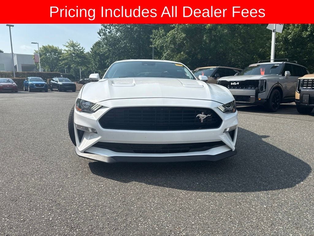 2019 Ford Mustang GT Premium