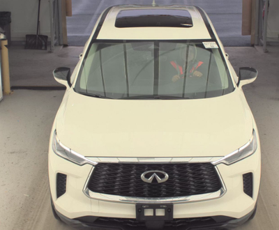2023 INFINITI QX60 PURE
