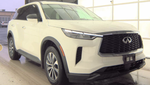 2023 INFINITI QX60 PURE