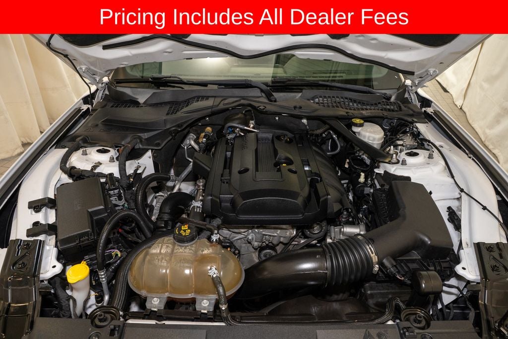2019 Ford Mustang EcoBoost Premium