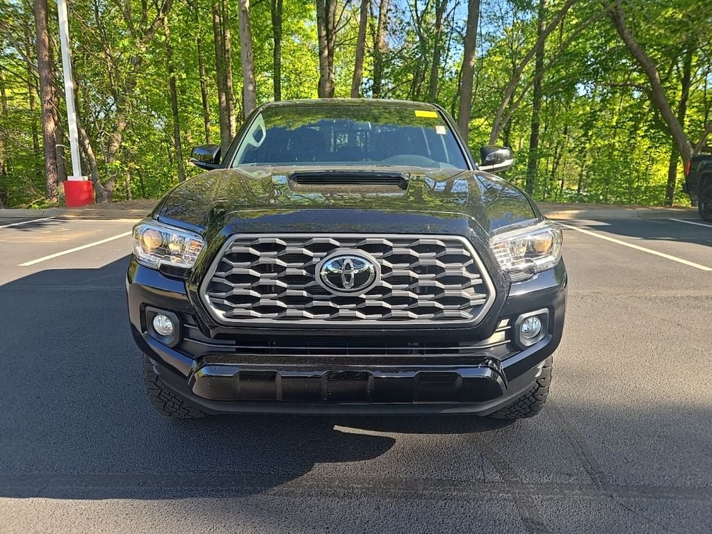 2023 Toyota Tacoma TRD Sport V6