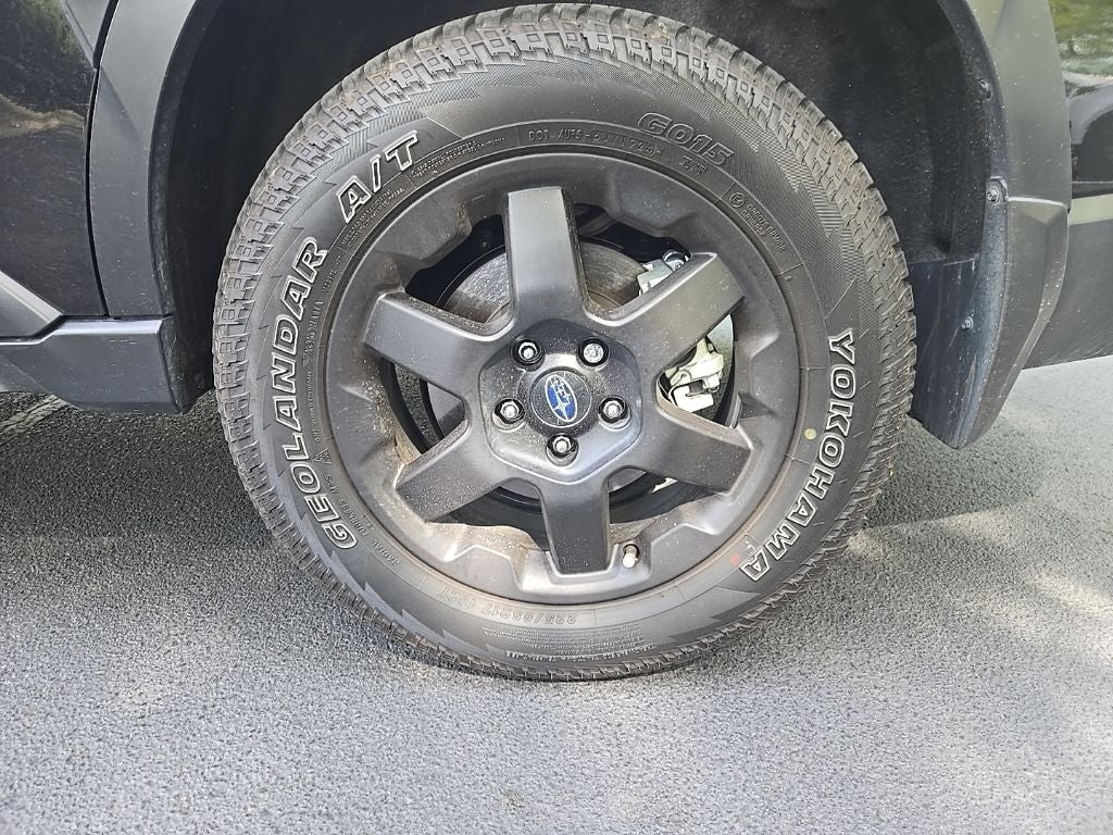 2025 Subaru Outback Wilderness