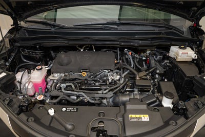 2022 Toyota Sienna XSE 7 Passenger