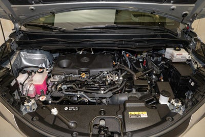 2022 Toyota Sienna Platinum 7 Passenger