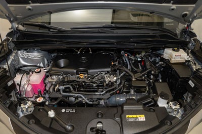 2024 Toyota Sienna Platinum 7 Passenger