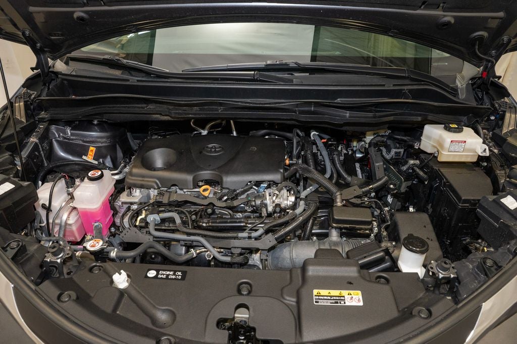 2025 Toyota Sienna XLE 8 Passenger