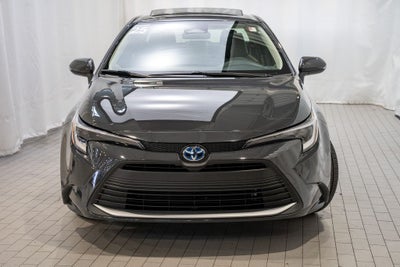 2025 Toyota Corolla Hybrid XLE
