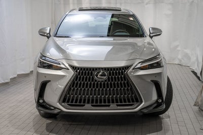 2024 Lexus NX 250 Premium