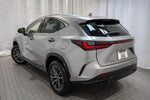 2024 Lexus NX 250 Premium