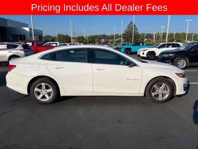 2019 Chevrolet Malibu LS 1FL