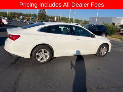 2019 Chevrolet Malibu LS 1FL