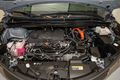 2022 Toyota Sienna Woodland Edition