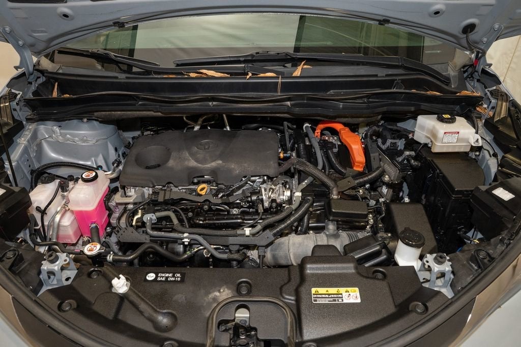 2022 Toyota Sienna Woodland Edition