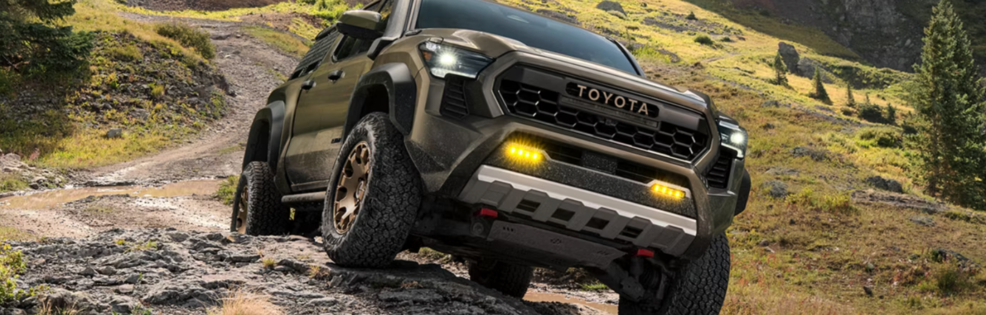 Tacoma
