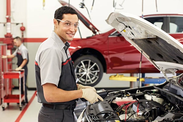 Limited Lifetime Warranty